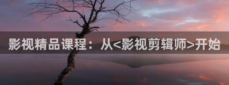 桃子影院免费官网入口